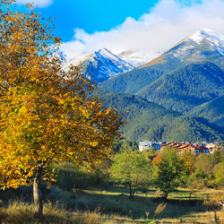 bansko